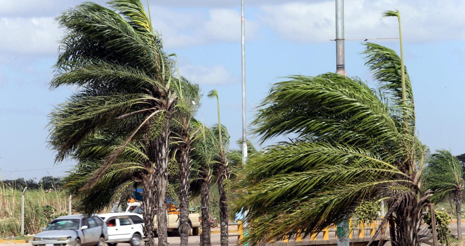 Senamhi emite alerta naranja en Santa Cruz por vientos de hasta 90 km/h y temperatura que llegará a los 42°C
