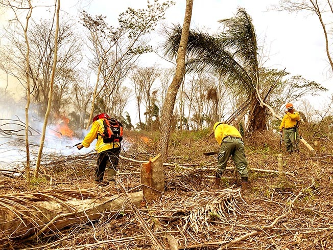 El Súper Niño golpea con temperaturas récord y eleva el riesgo de incendios
