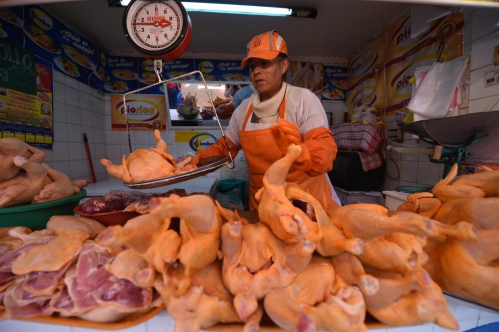 ¿Por qué se elevó el precio del pollo? Productores lo explican