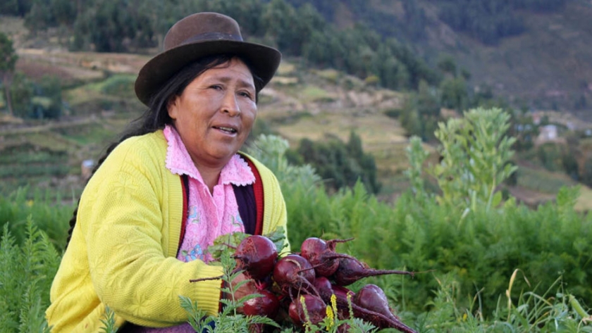 Orkídea Andina lleva siete años trabajando en silencio en las alturas del altiplano paceño