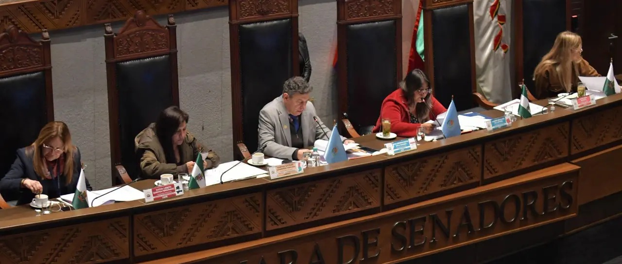Senado aprueba crédito modificado del BID por $us 500 millones para Renta Dignidad
