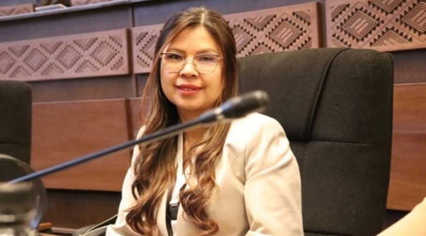 Diputada Romero enfrentará proceso por ausencias reiteradas en la Cámara de Diputados por viajes con el vicepresidente