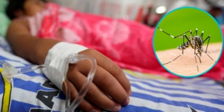 Confirman otras dos muertes por fiebre amarilla