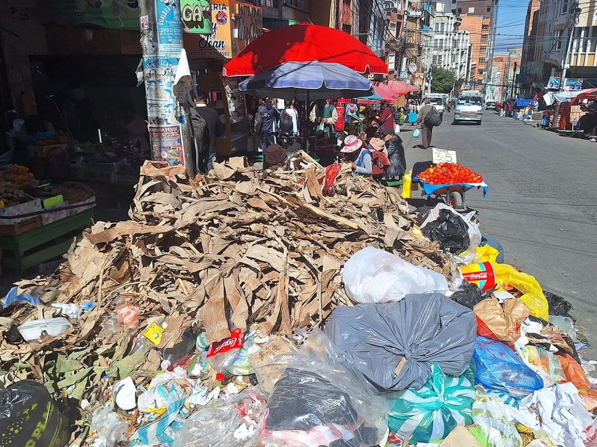 Población paceña está en riesgo de contraer fiebre tifoidea, gastroenteritis o contagiarse con E. coli por la acumulación de basura