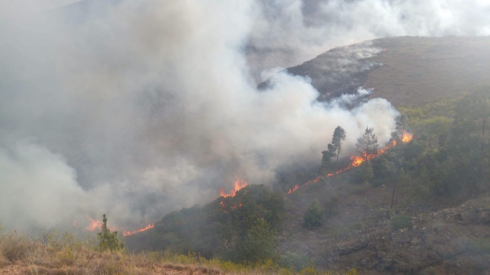Cochabamba evalúa declarar alerta roja por incendios que afectan a varios municipios