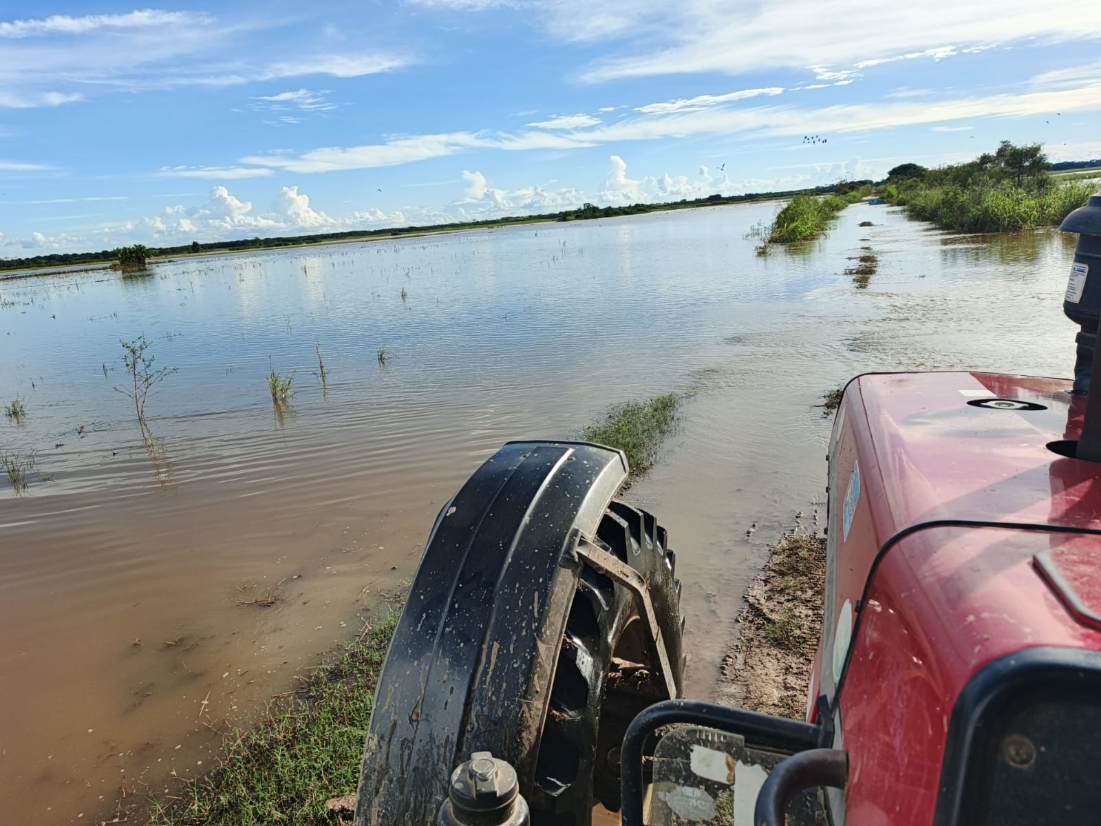 Anapo reporta disminución de la producción de la soya de verano 2025-2026 debido a las lluvias