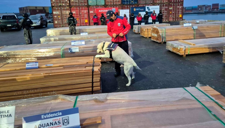 Bolivia expresa preocupación por daños comerciales y reputacionales al sector forestal tras caso maderas